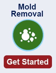 mold remediation in Perris CA
